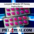 Leopard Miracle Of Honey Instructions 10